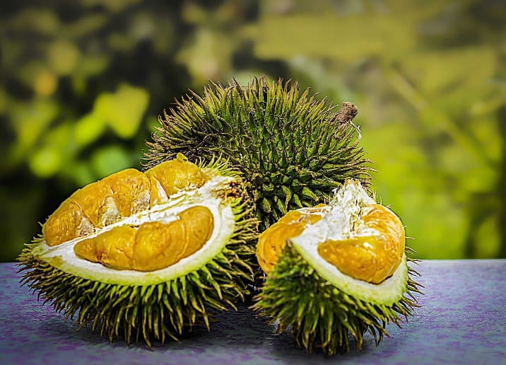 10 Makanan Tradisional Malaysia yang terkenal whatsapp image 2026 08 08 at 4.04.53 pm (1)